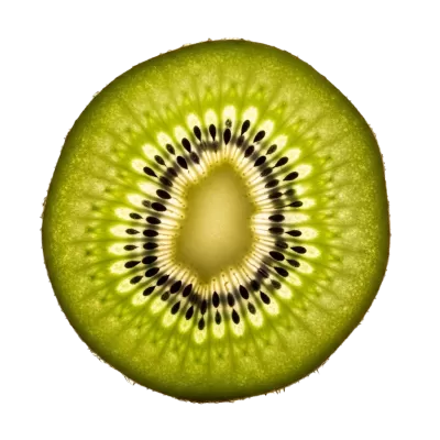 Imagen PNG para descargar